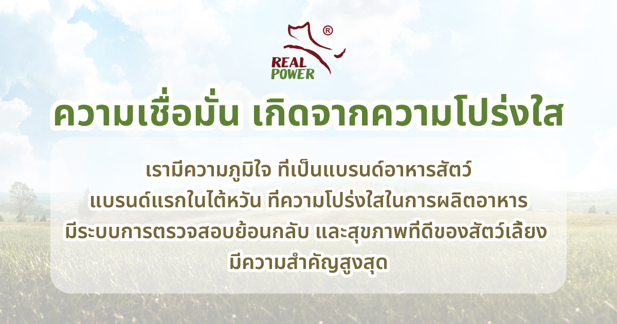 Real Power Transparency & Traceability Program